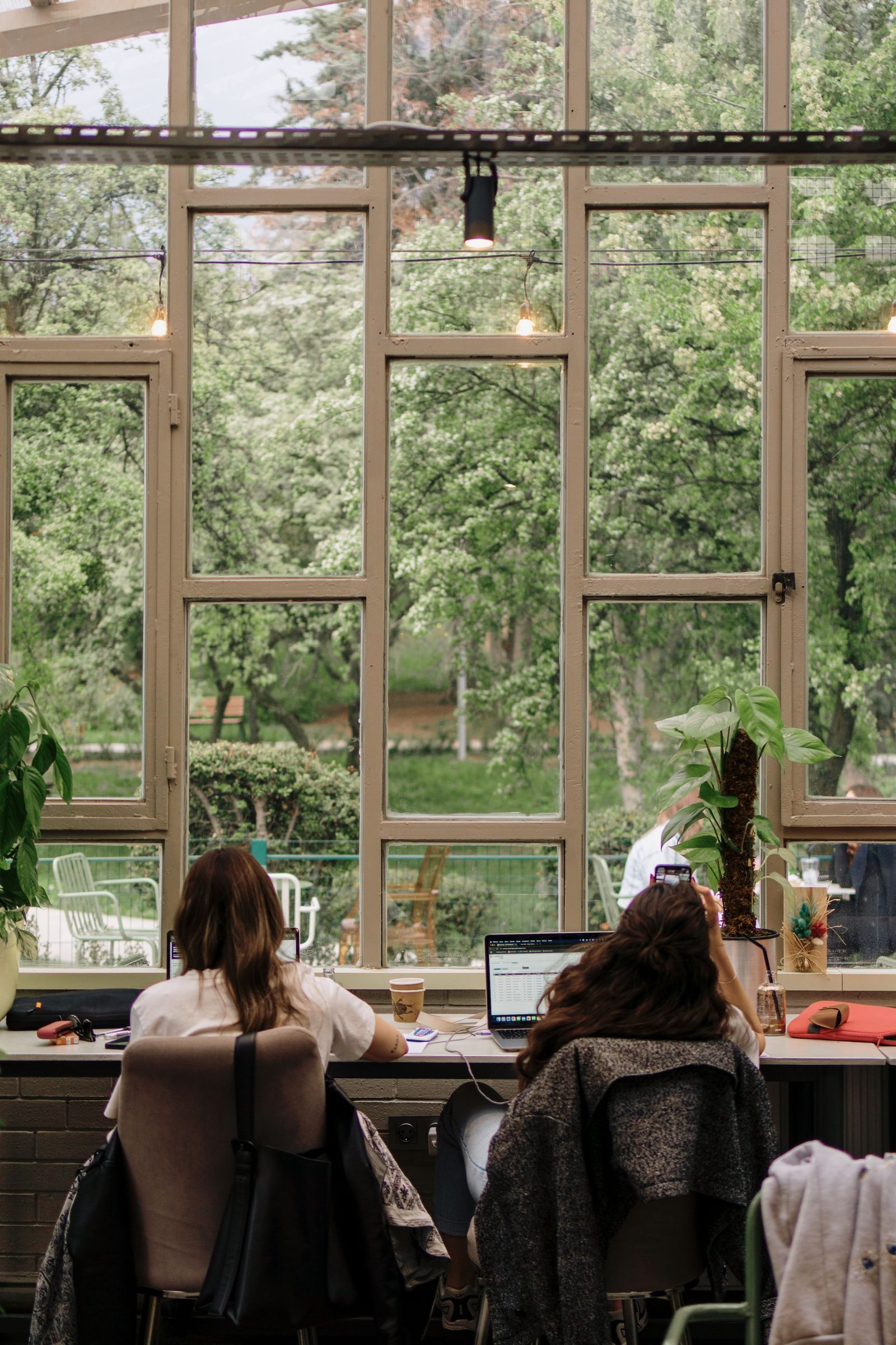 Garden room office with large windows overlooking greenery